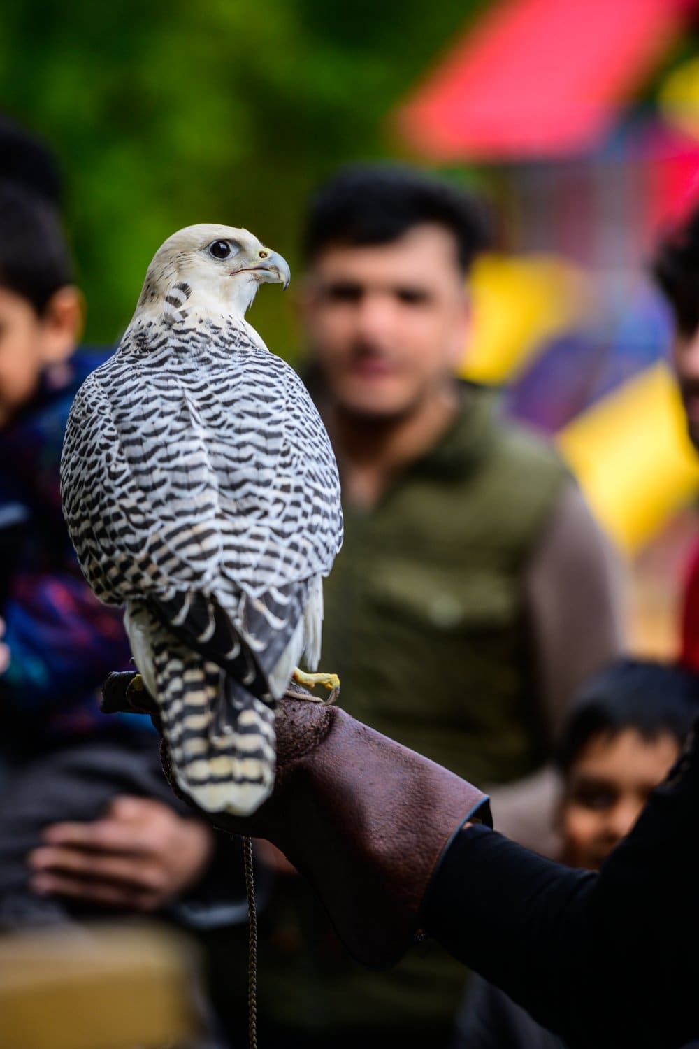 Photograph by Omar Nassar