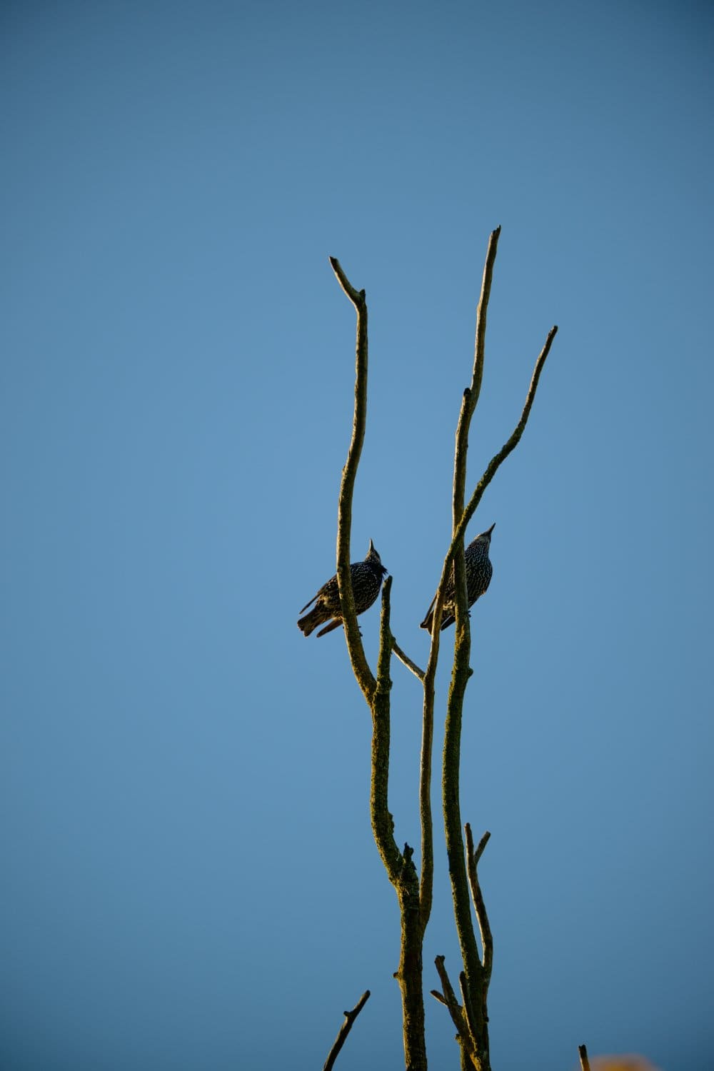 Photograph by Omar Nassar