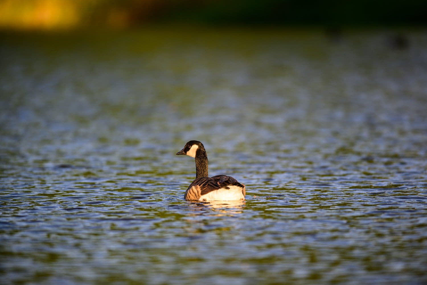Photograph by Omar Nassar