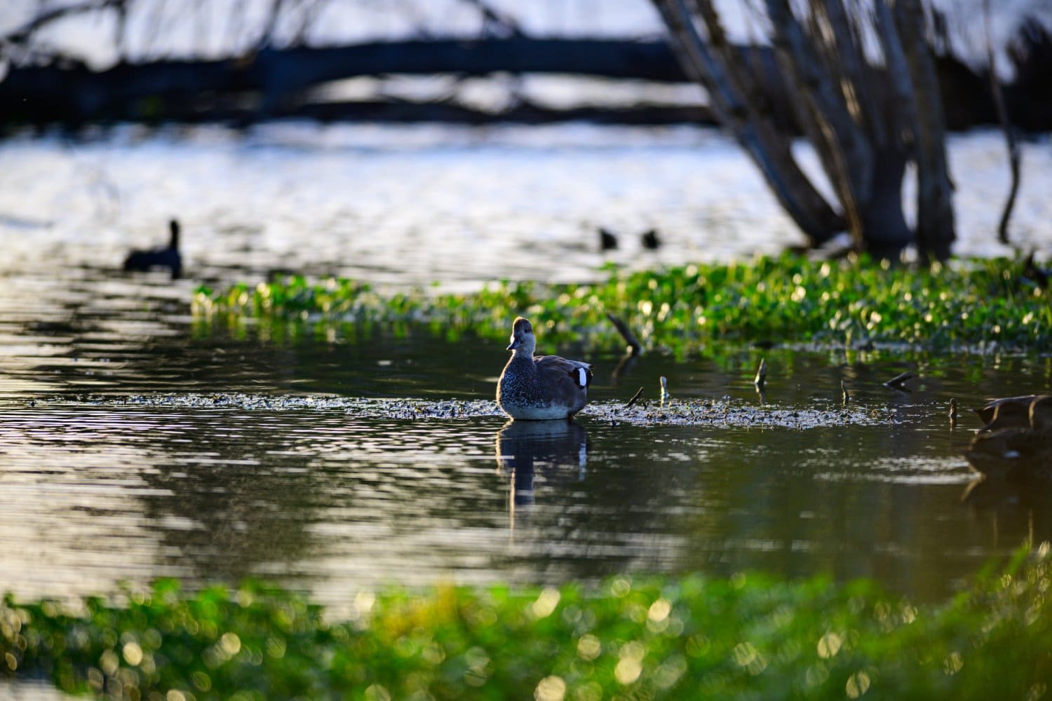 Photograph by Omar Nassar