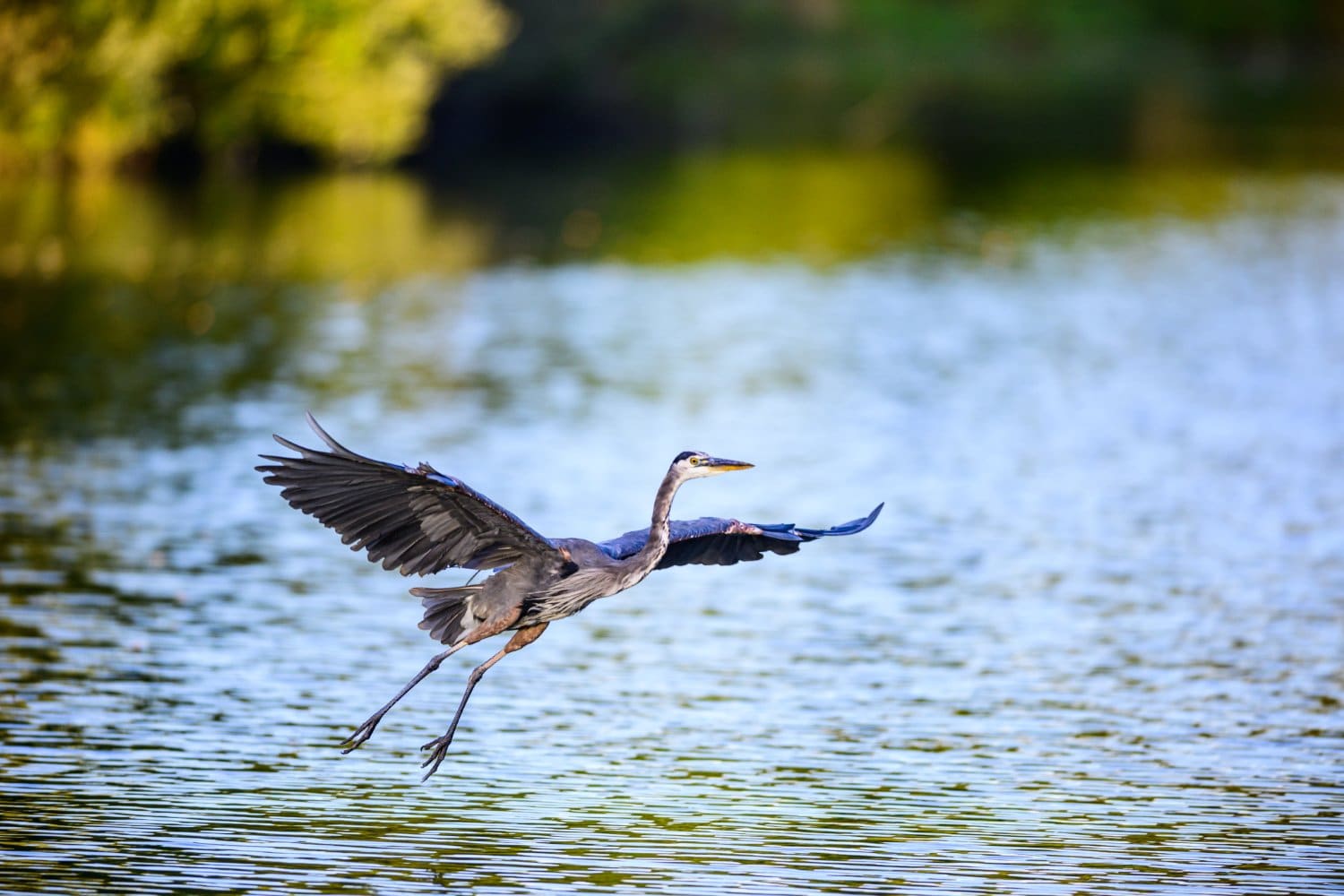 Photograph by Omar Nassar