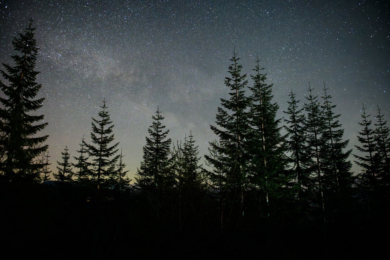 Photograph by Omar Nassar