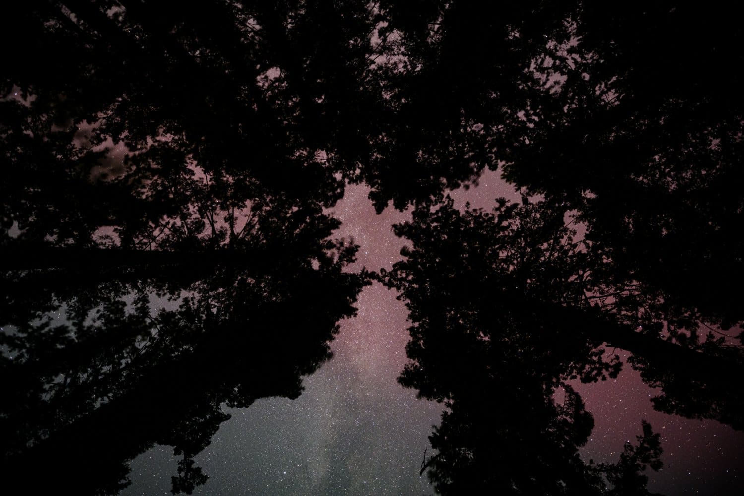 Photograph by Omar Nassar