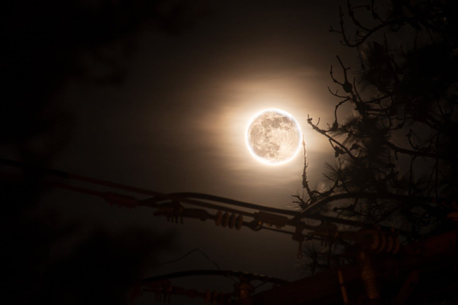 Photograph by Omar Nassar