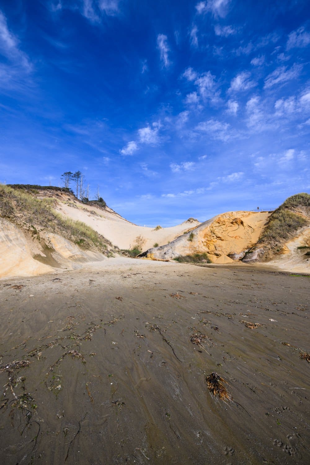 Cape Kiwanda
