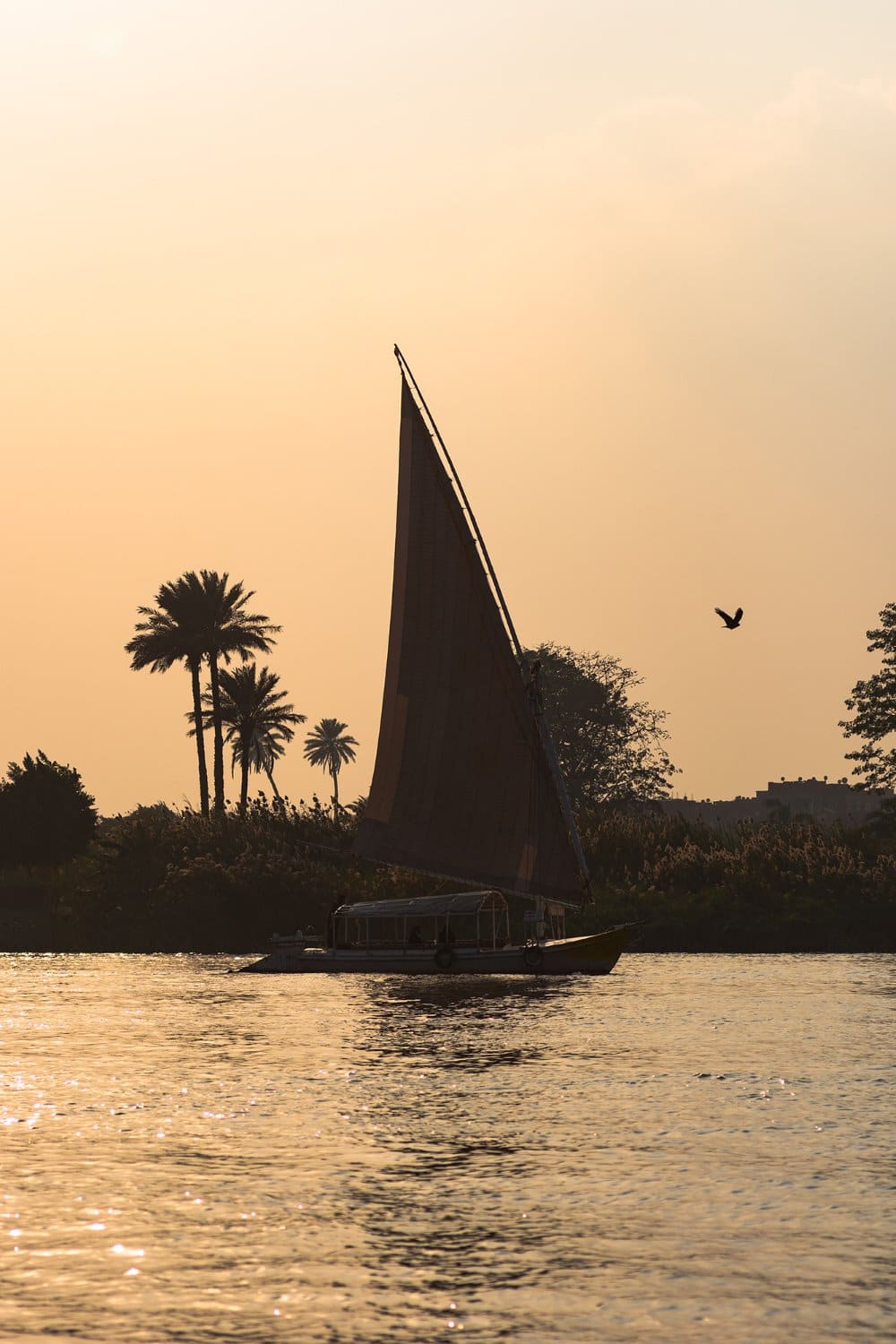 The Nile