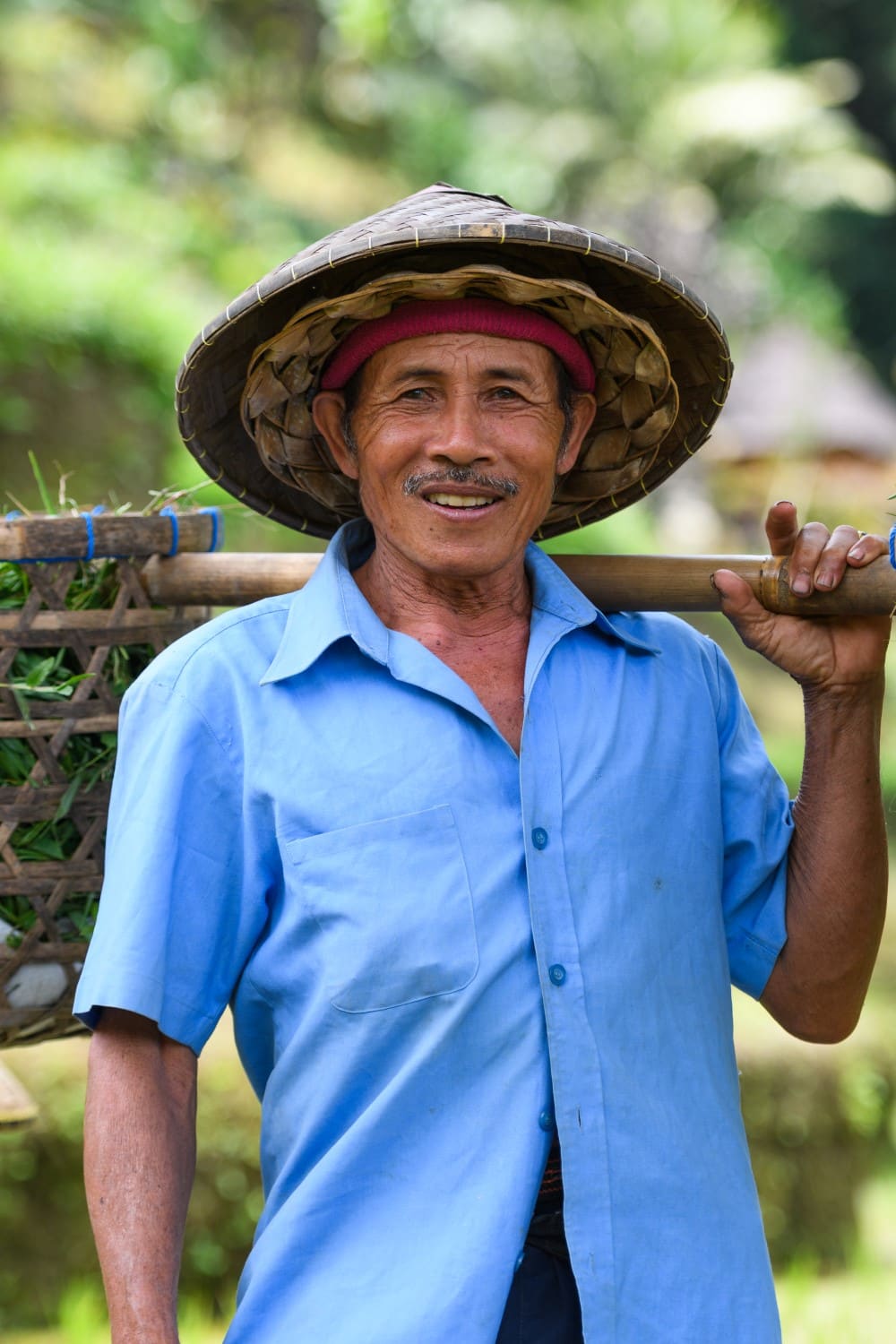Cekeng Rice Terrace