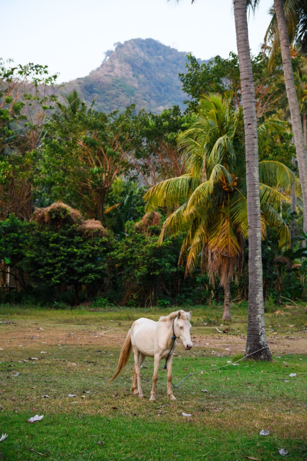 Lombok, Indonesia