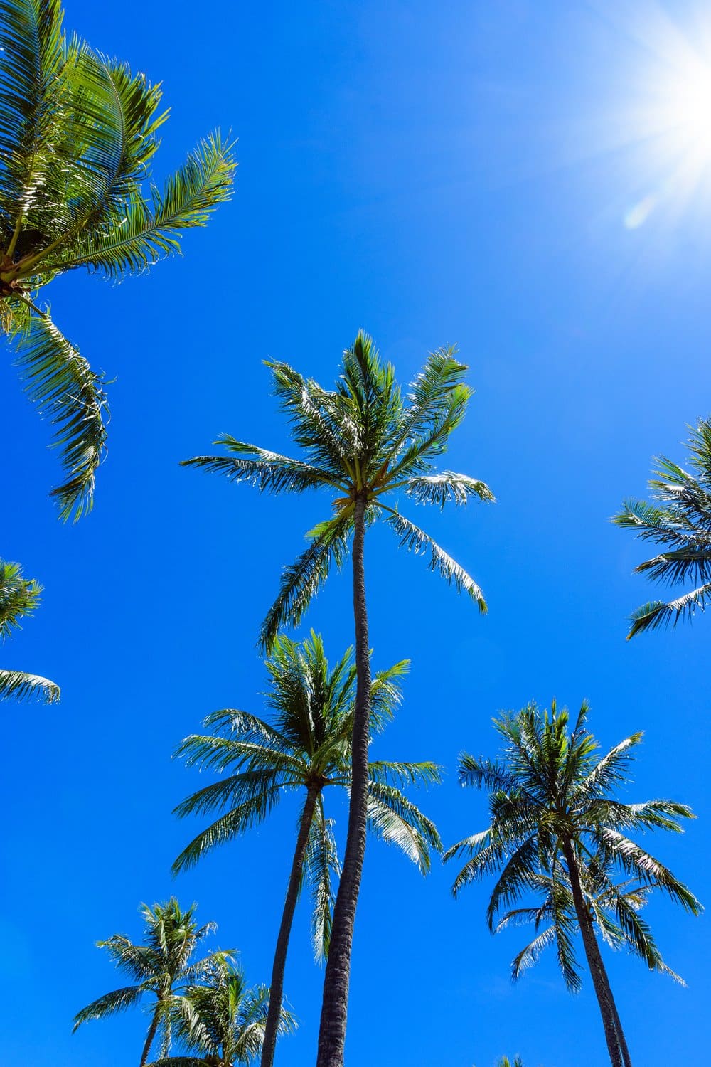 Maui, HI