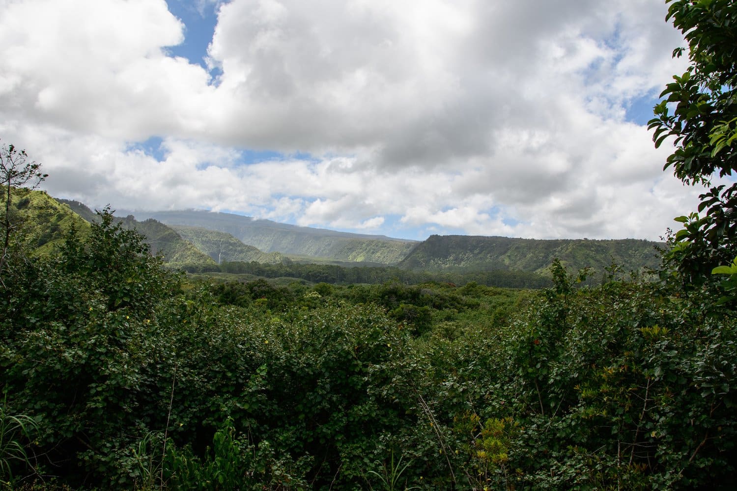 Maui, HI