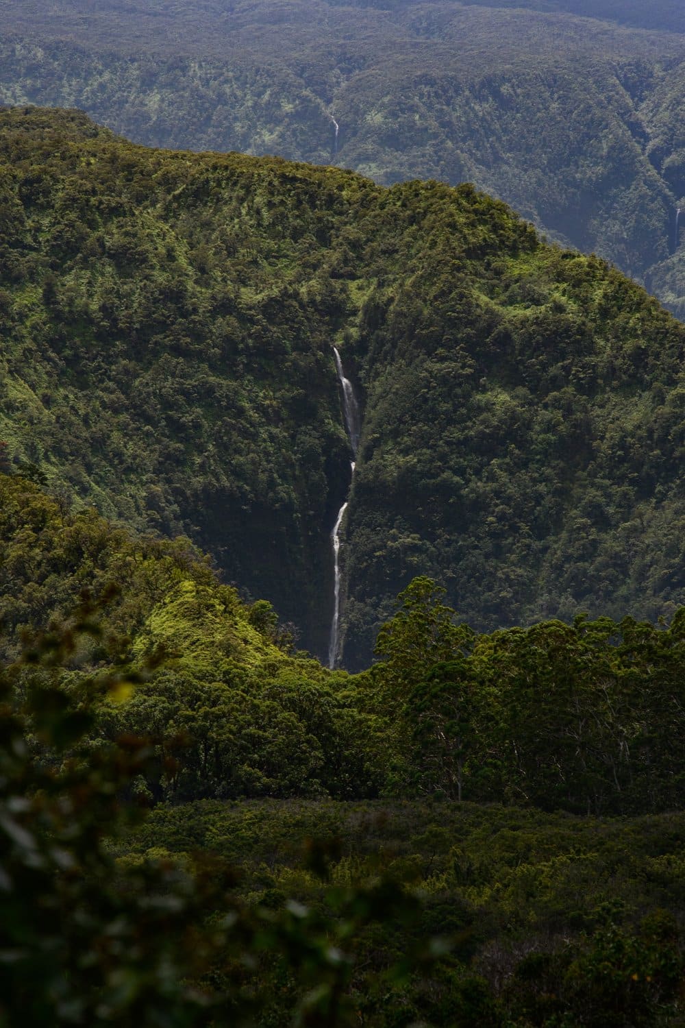 Maui, HI